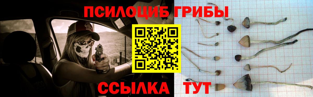 Псилоцибиновые грибы Psilocybine cubensis  Вход с VPN  Псилоцибиновые грибы MAGIC MUSHROOMS  Анапа 